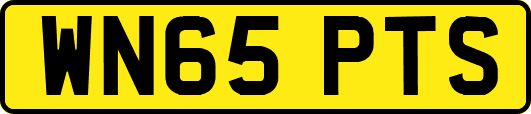 WN65PTS