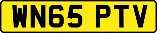 WN65PTV