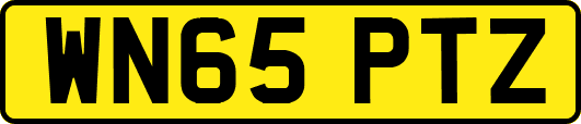 WN65PTZ