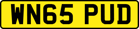 WN65PUD