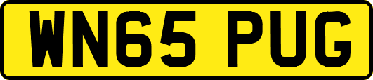 WN65PUG
