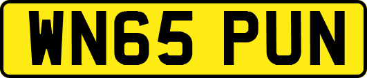 WN65PUN