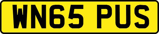 WN65PUS