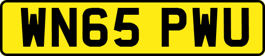 WN65PWU