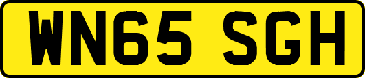 WN65SGH