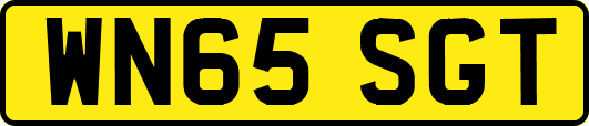 WN65SGT
