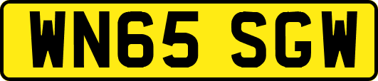 WN65SGW