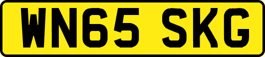 WN65SKG