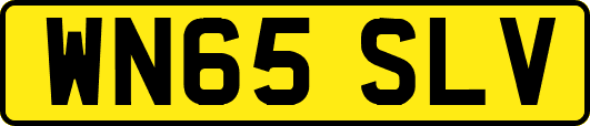 WN65SLV