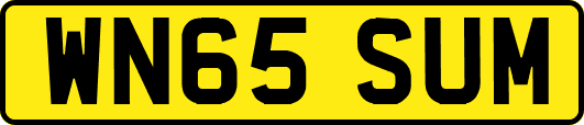 WN65SUM