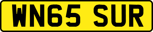 WN65SUR