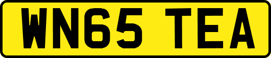 WN65TEA
