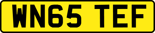 WN65TEF