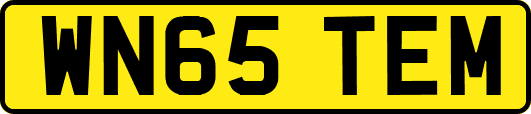 WN65TEM