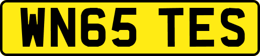 WN65TES