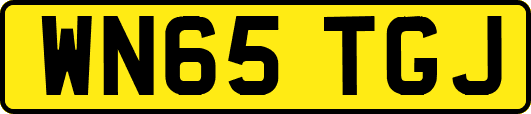 WN65TGJ