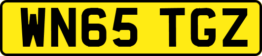 WN65TGZ