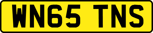 WN65TNS