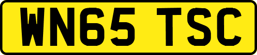 WN65TSC