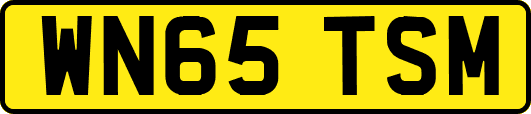 WN65TSM