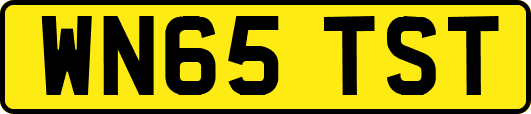 WN65TST