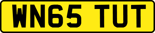 WN65TUT