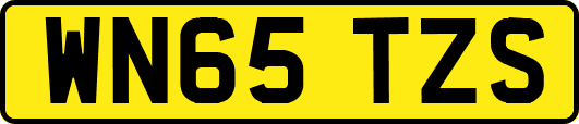 WN65TZS