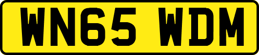 WN65WDM
