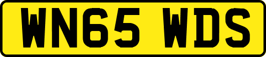 WN65WDS