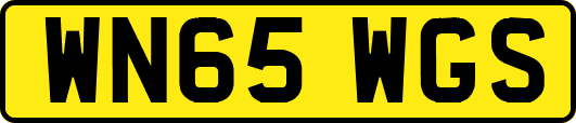 WN65WGS