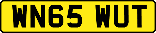 WN65WUT