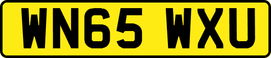 WN65WXU