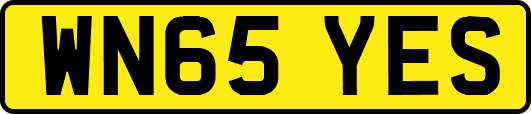 WN65YES