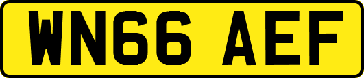 WN66AEF