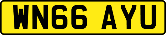 WN66AYU