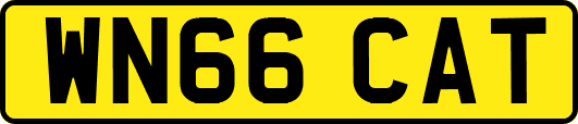 WN66CAT