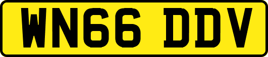 WN66DDV