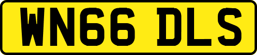 WN66DLS