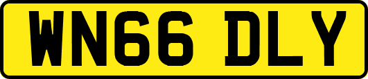 WN66DLY