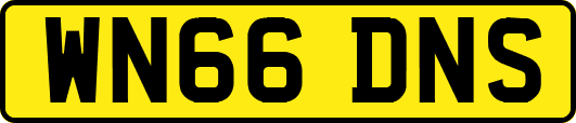 WN66DNS