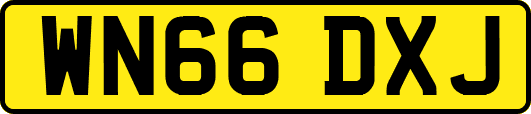 WN66DXJ