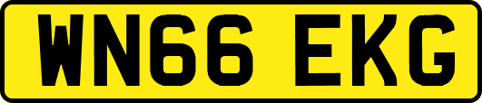 WN66EKG
