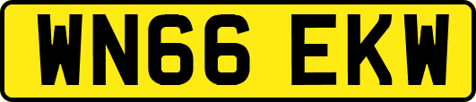 WN66EKW