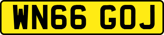 WN66GOJ