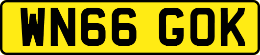 WN66GOK