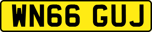WN66GUJ