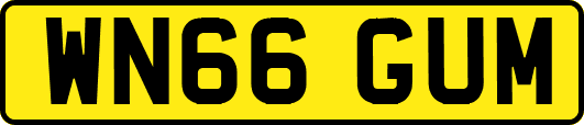 WN66GUM