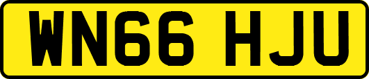 WN66HJU
