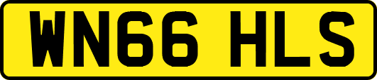 WN66HLS