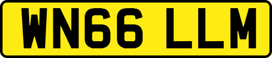 WN66LLM